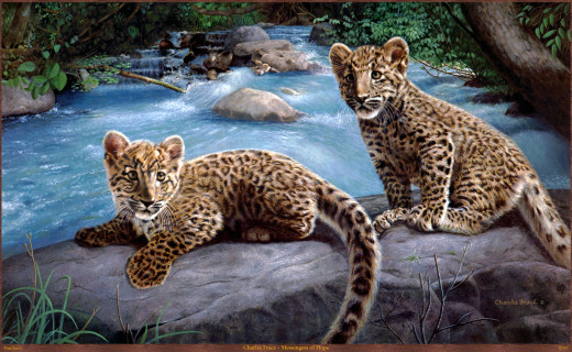 618810 (a): :2874x1765